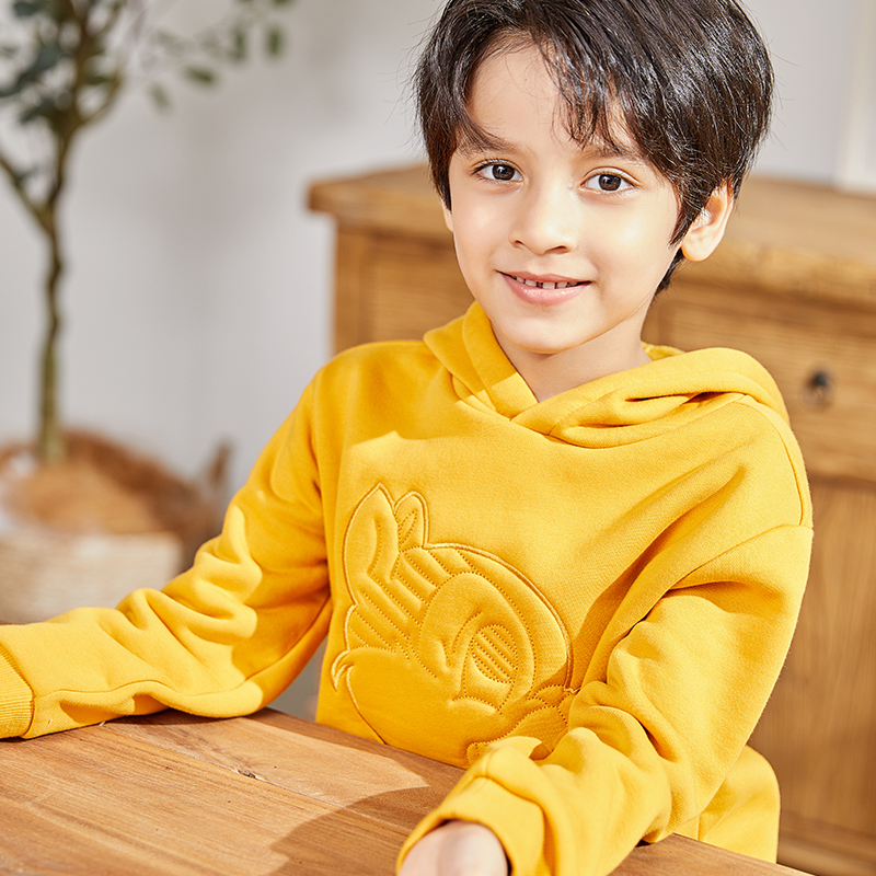 Yellow Hooded Pullover Squirrel Embellished Boy\'s Sweatshirt