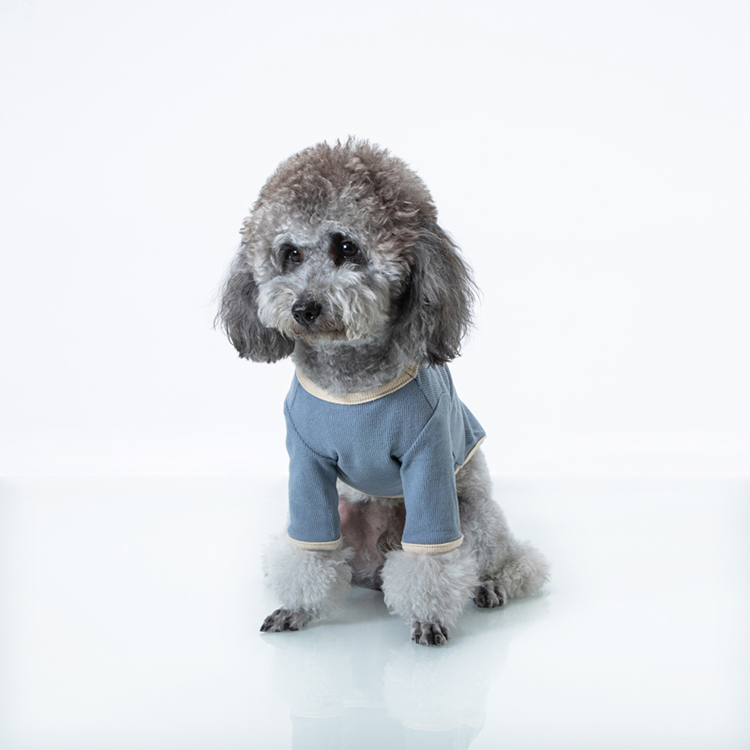Personalized Little Dog Sweater Designer Pet Knit Sweater For Cute Puppier